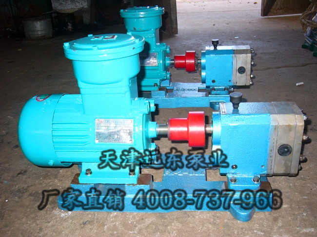 不锈钢齿轮泵 不锈钢齿轮泵