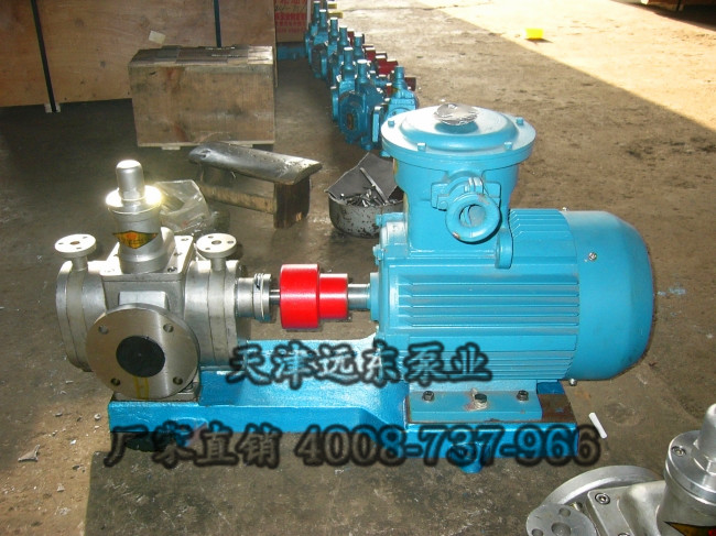 不锈钢齿轮泵 不锈钢齿轮泵